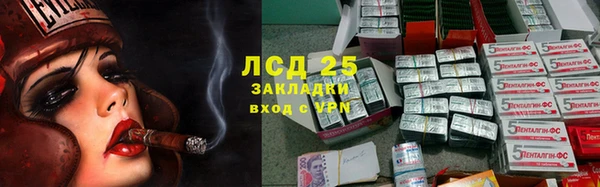 a pvp Аркадак