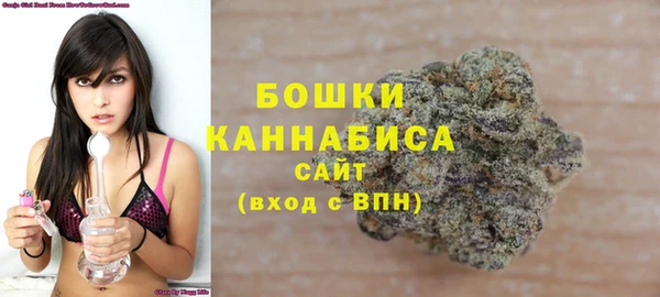 a pvp Аркадак
