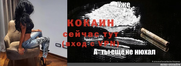 гидра Арсеньев