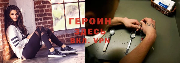 гидра Арсеньев