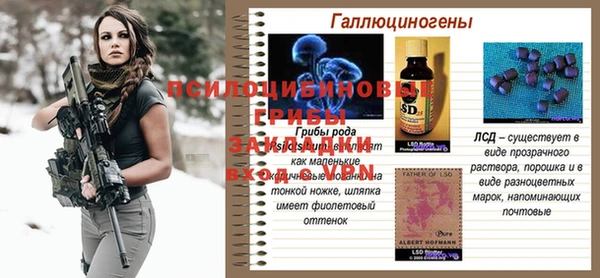 a pvp Аркадак