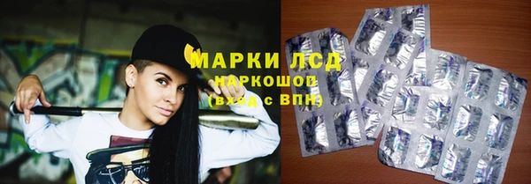 a pvp Аркадак