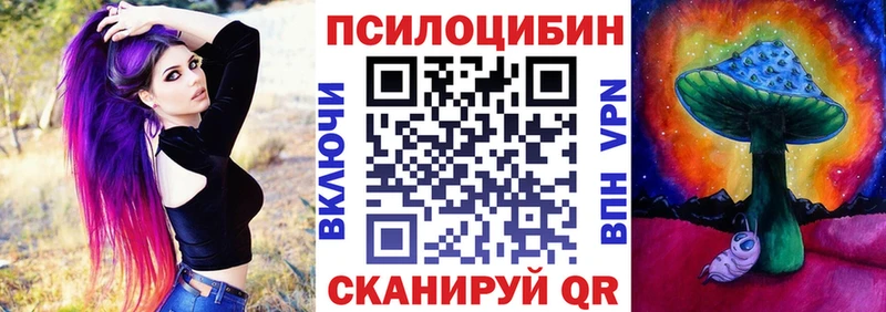 Псилоцибиновые грибы MAGIC MUSHROOMS  цена наркотик  Буйнакск 